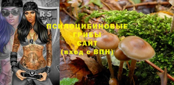стафф Верея