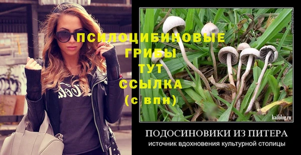 ГАЛЛЮЦИНОГЕННЫЕ ГРИБЫ Бугульма