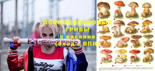 метадон Медвежьегорск