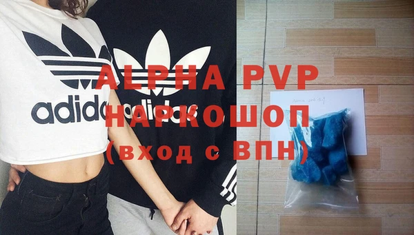 экстази Бородино