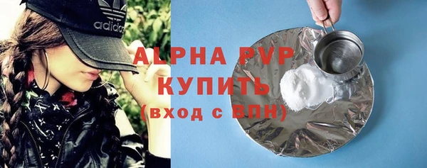 экстази Бородино