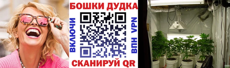 Бошки Шишки планчик  где купить наркоту  Глазов 